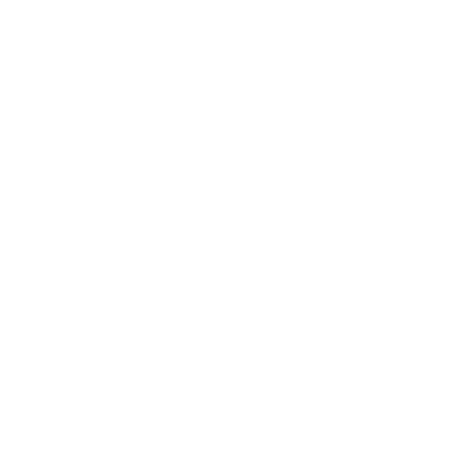 Scaleup Consulting logo stamp white