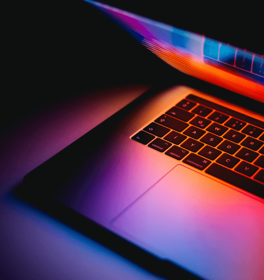 WordPress development workspace